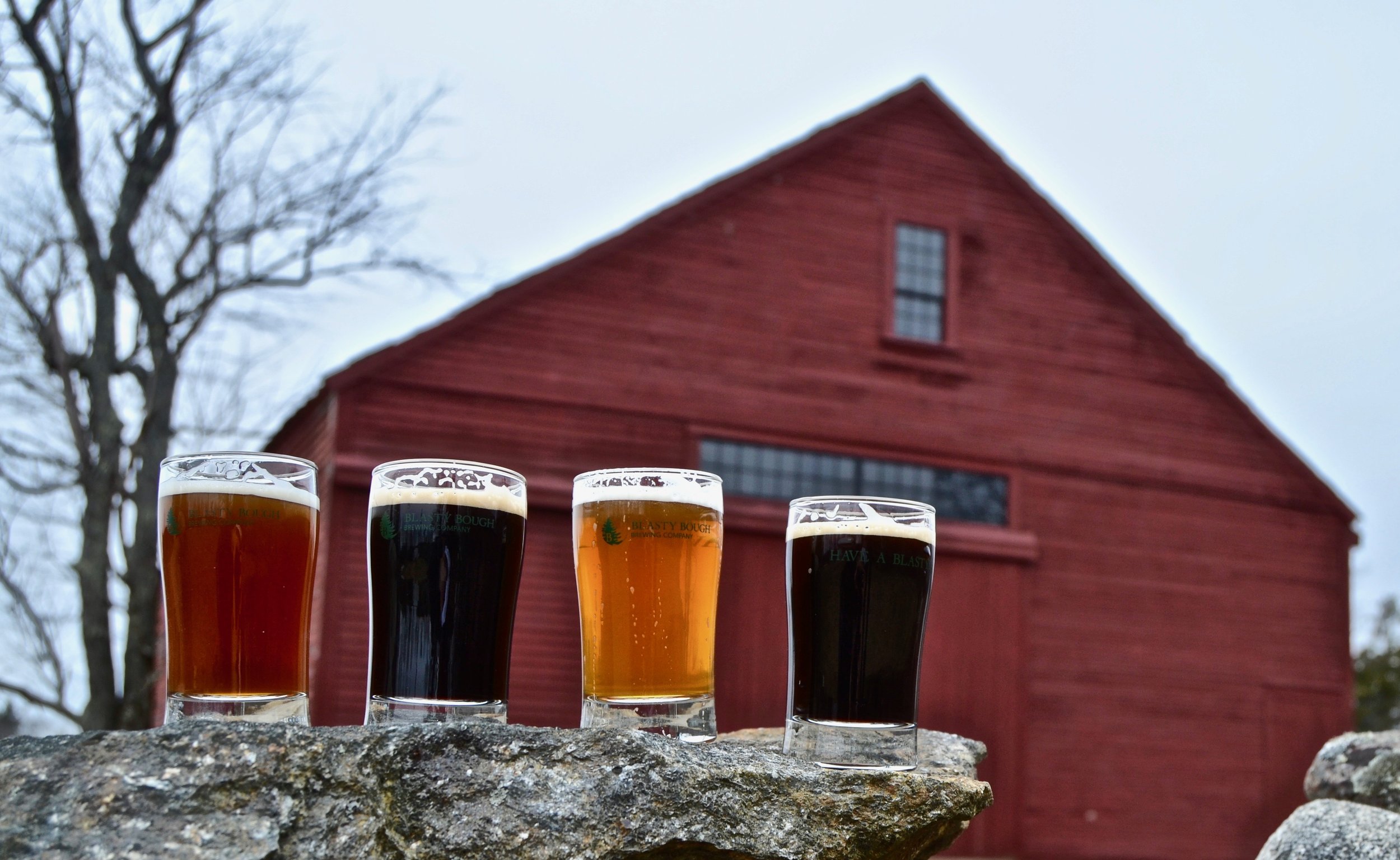 Four real Blasty Bough beers on a stone wall in front of the farm’s red barn