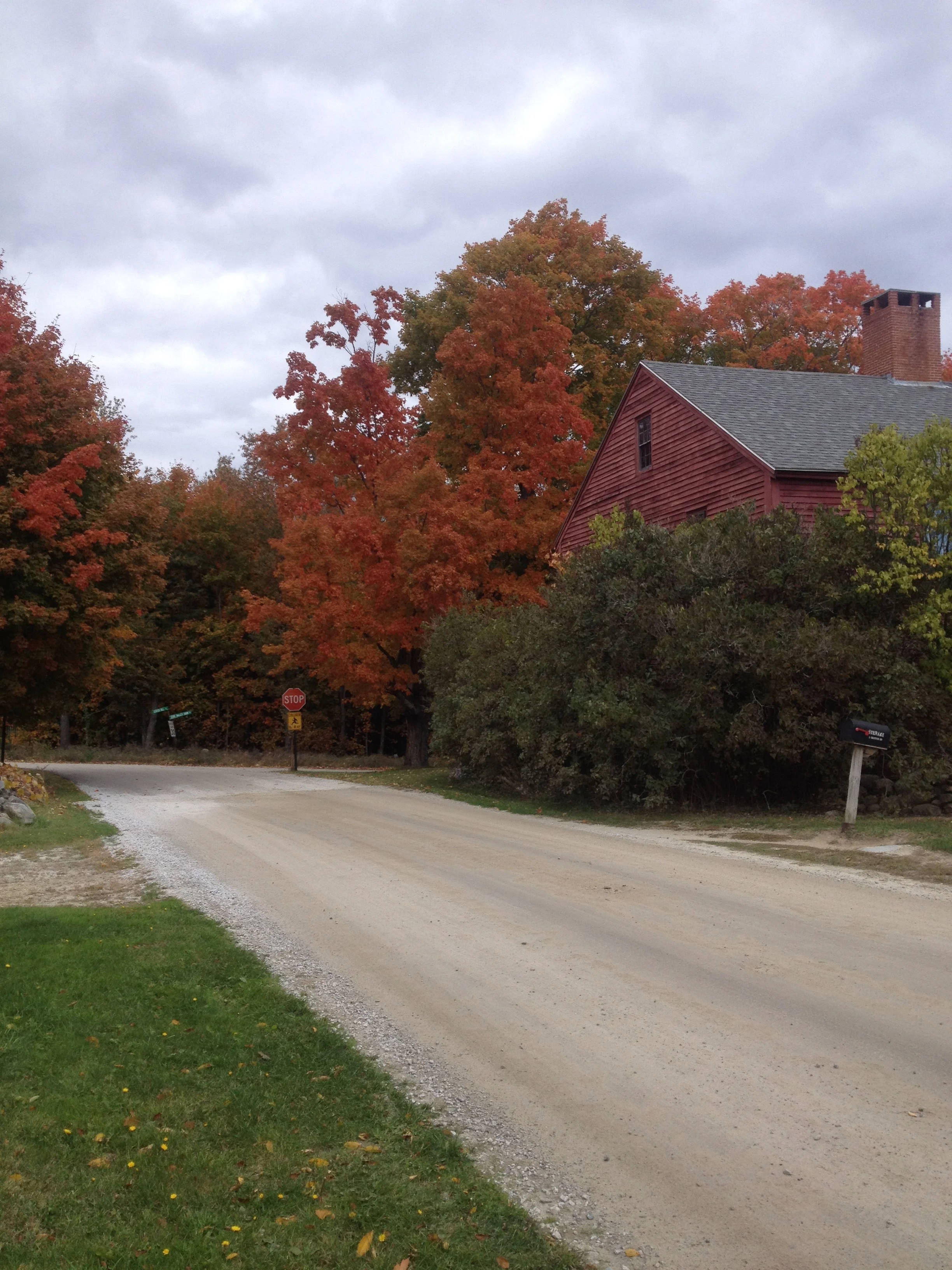 Autumn foliage beside the road at Blasty Bough